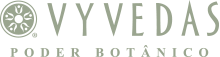 Logo Vyvedas